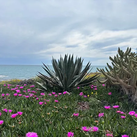 Lejlighed Dream House *